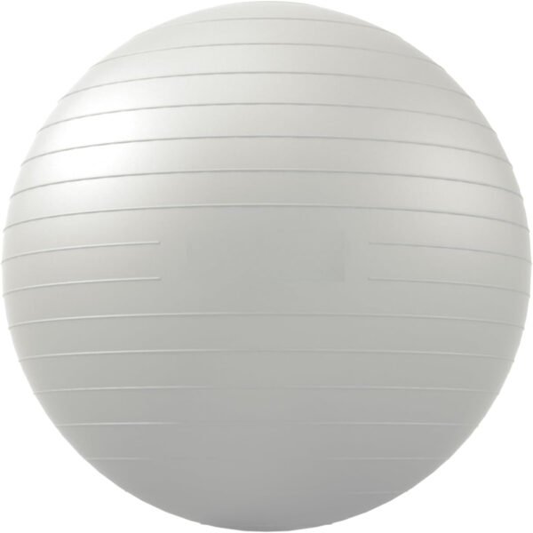 3046ca7213eddf1761507c4d7e62b88a.jpg Yoga Ball Exercise Ball for Working Out, 5 Sizes Gym Ball, Birthing Ball for Pregnancy, Swiss Ball for Physical Therapy, Balance, Stability, Fitness, Office Ball Chair, Quick Pump Included