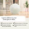 Exercise Ball | Yoga Ball for Workout, Physical Therapy, Pregnancy, Physical Fitness | Fitness Ball Chair for Office, Home Gym with Foot Pump