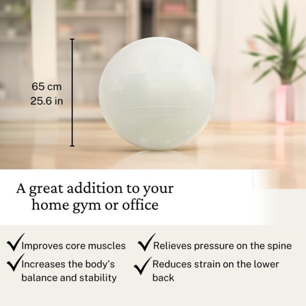 Exercise Ball | Yoga Ball for Workout, Physical Therapy, Pregnancy, Physical Fitness | Fitness Ball Chair for Office, Home Gym with Foot Pump