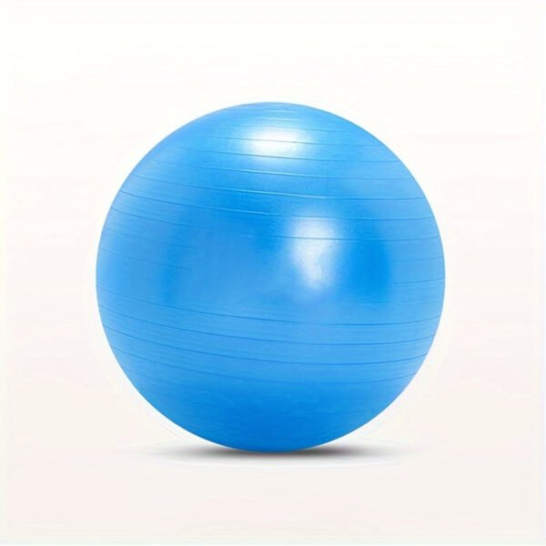 4701b239-5fe8-4423-a2f0-ad8117fb2d98.jpg Exercise Ball For Workout, Anti-Burst Yoga Ball For Stability, Fitness And Physical Therapy, With Pump