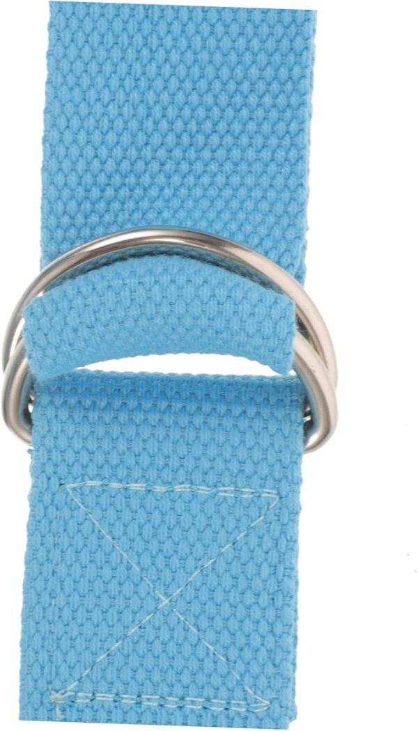 61VJ9sjyKXL._AC_SL1500.jpg 2pcs Yoga Stretching Belt Yoga Strap Stretch Bands Gym Supplies Yoga Band Yoga Supply Stretching Strap