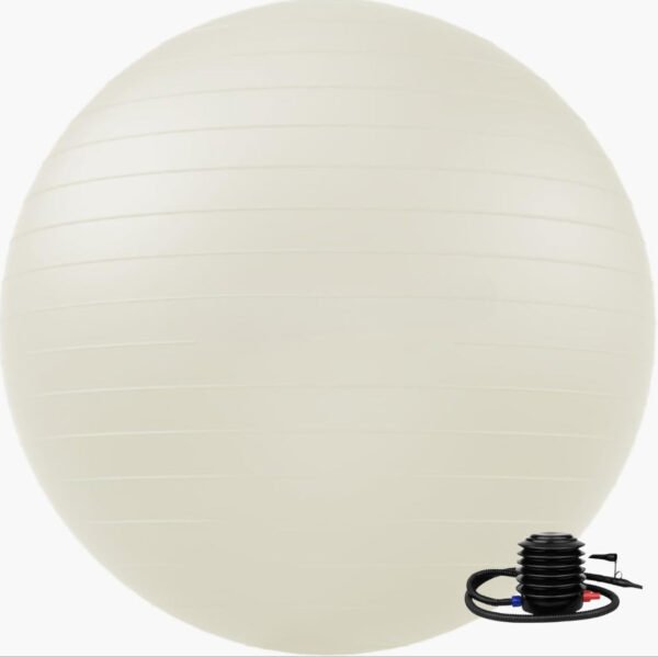 Exercise Ball | Yoga Ball for Workout, Physical Therapy, Pregnancy, Physical Fitness | Fitness Ball Chair for Office, Home Gym with Foot Pump