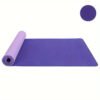 1pc Two-color Soft TPE Yoga Mat, Thickened Non-slip Sports Fitness Mat, Suitable For Dance, Exercise, Body Training